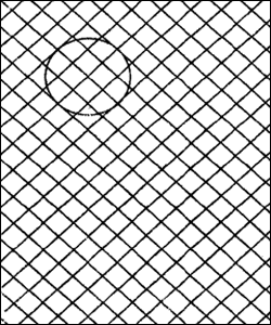 blank1